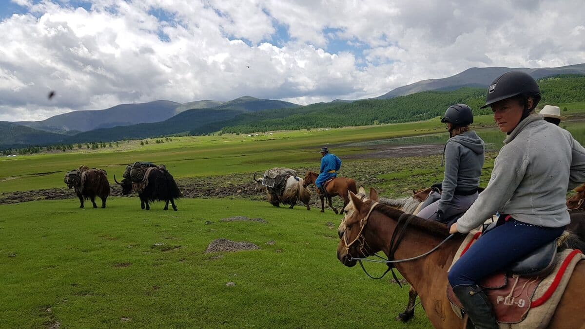 Riders passing grazing yaks in a green valley
