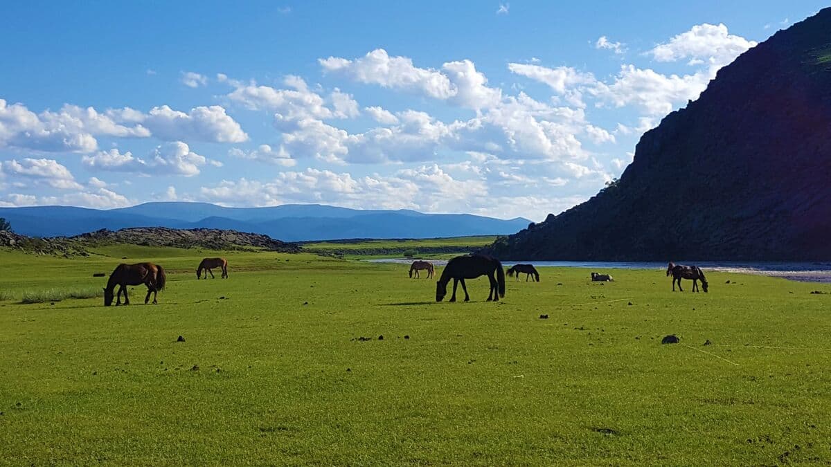 Horses grazing below cliffs beside a lake